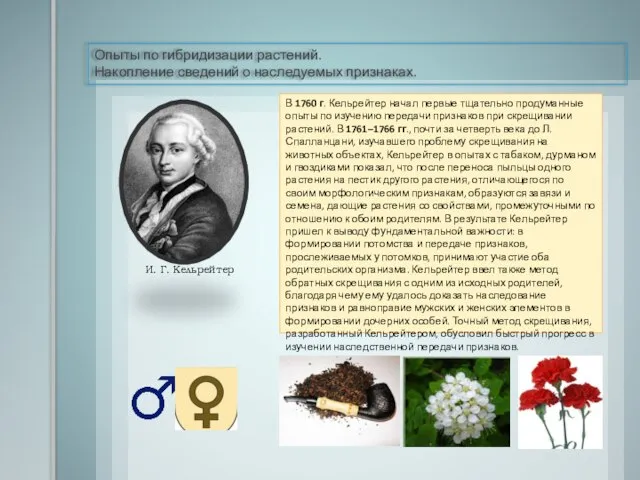 Опыты по гибридизации растений. Накопление сведений о наследуемых признаках. Аристотель И. Г.