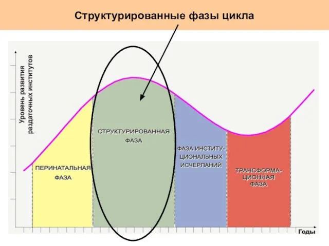 Структурированные фазы цикла