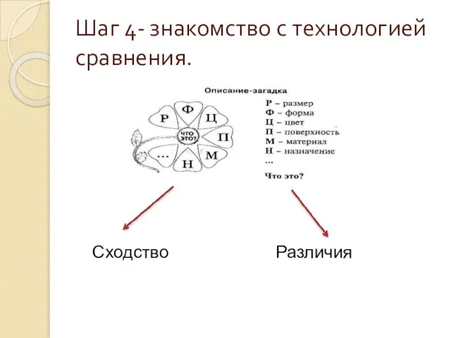 Шаг 4- знакомство с технологией сравнения. Сходство Различия