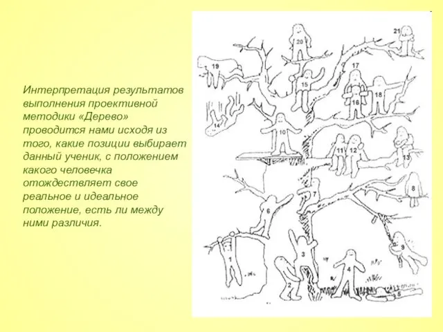 Интерпретация результатов выполнения проективной методики «Дерево» проводится нами исходя из того, какие