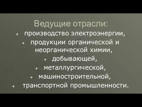 Ведущие отрасли: производство электроэнергии, продукции органической и неорганической химии, добывающей, металлургической, машиностроительной, транспортной промышленности.