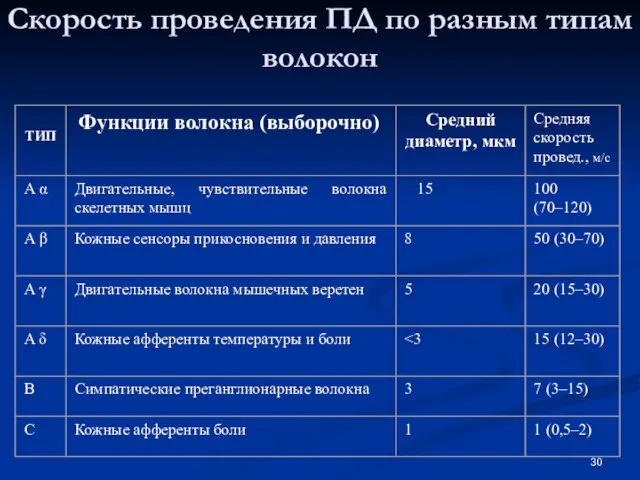 Скорость проведения ПД по разным типам волокон