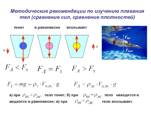 Методические рекомендации по изучению плавания тел (сравнение сил, сравнение плотностей) v v