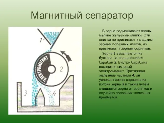 Магнитный сепаратор В зерно подмешивают очень мелкие железные опилки. Эти опилки не