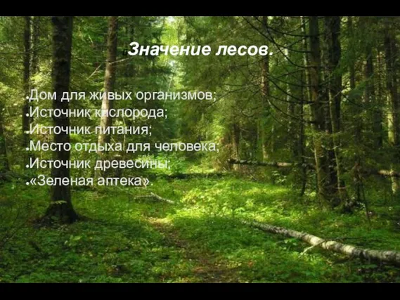 Значение лесов. Дом для живых организмов; Источник кислорода; Источник питания; Место отдыха