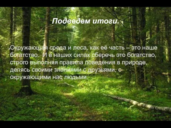 Подведем итоги. Окружающая среда и леса, как её часть – это наше