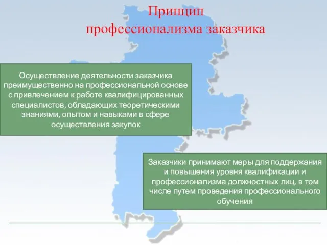 Принцип профессионализма заказчика Осуществление деятельности заказчика преимущественно на профессиональной основе с привлечением