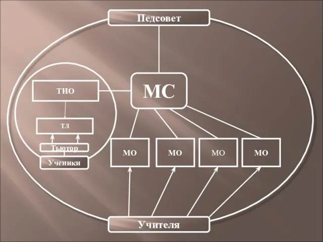 Учителя МС МО МО МО МО ТИО ТЛ Ученики Тьютор Педсовет