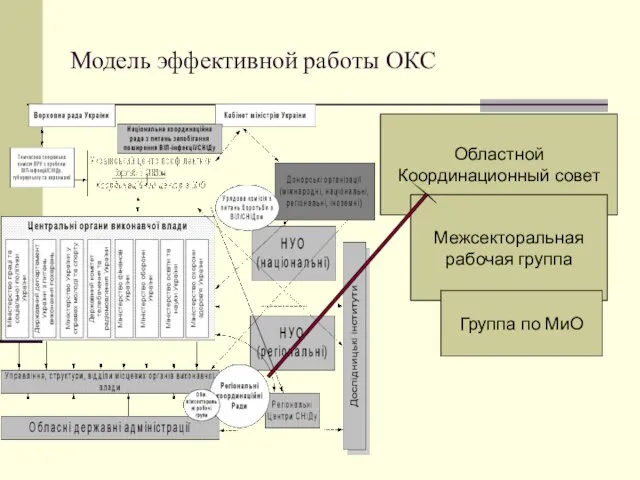 Модель эффективной работы ОКС Областной Координационный совет Межсекторальная рабочая группа Группа по МиО