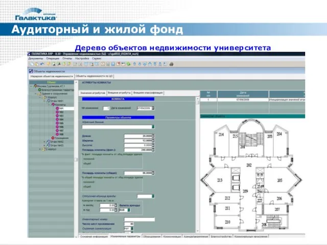 Аудиторный и жилой фонд Дерево объектов недвижимости университета