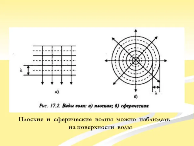 Плоские и сферические волны можно наблюдать на поверхности воды