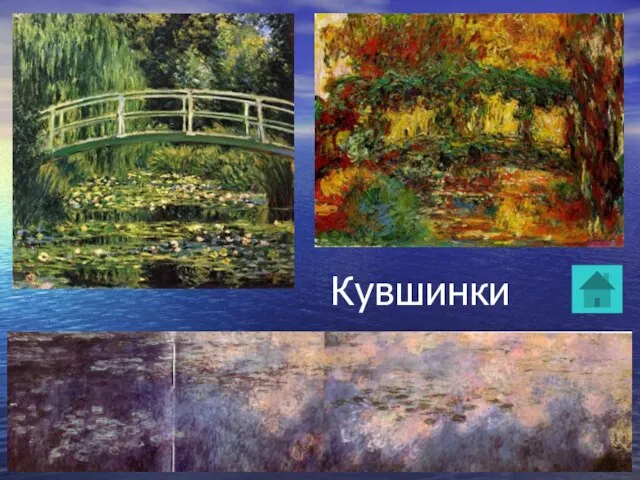 Кувшинки