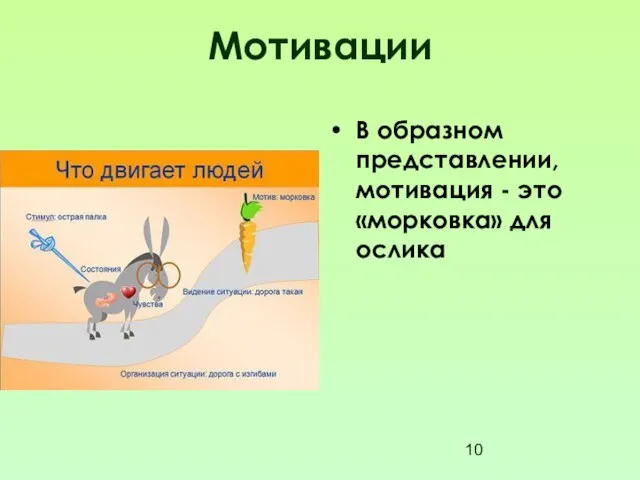 Мотивации В образном представлении, мотивация - это «морковка» для ослика