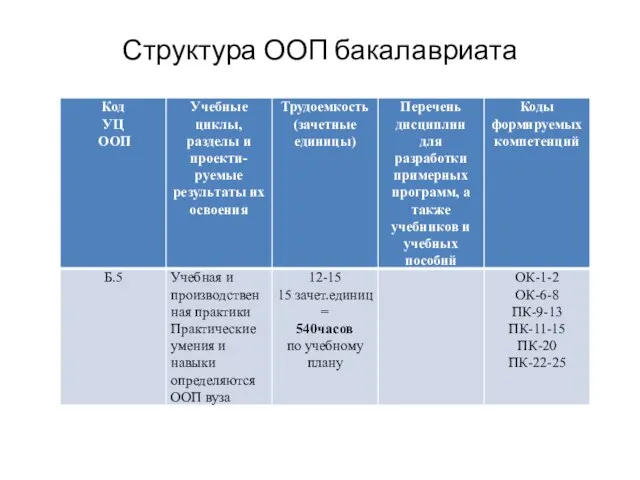 Структура ООП бакалавриата