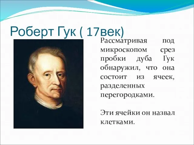 Роберт Гук ( 17век) Рассматривая под микроскопом срез пробки дуба Гук обнаружил,