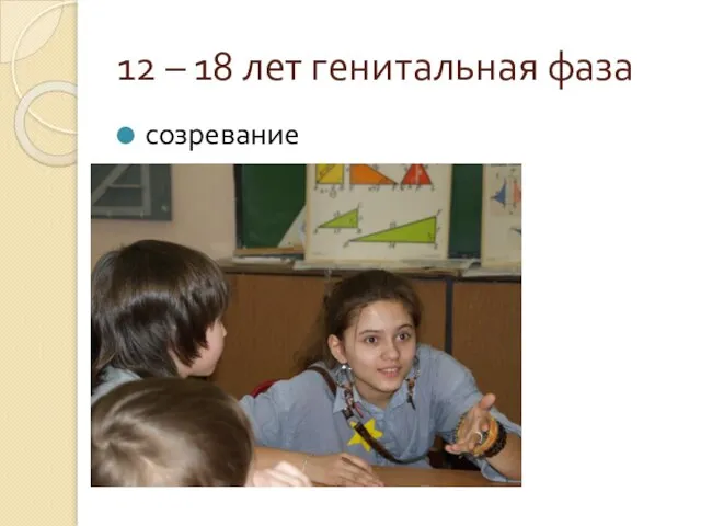 12 – 18 лет генитальная фаза созревание