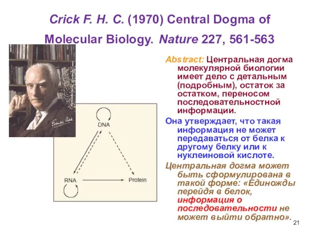 Crick F. H. C. (1970) Central Dogma of Molecular Biology. Nature 227,