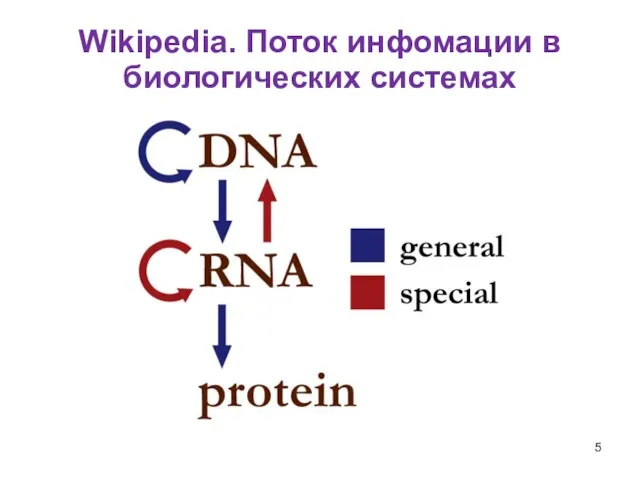 Wikipedia. Поток инфомации в биологических системах