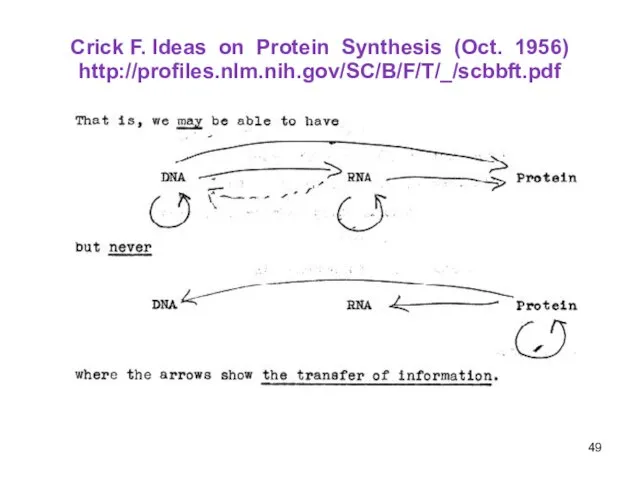 Crick F. Ideas on Protein Synthesis (Oct. 1956) http://profiles.nlm.nih.gov/SC/B/F/T/_/scbbft.pdf