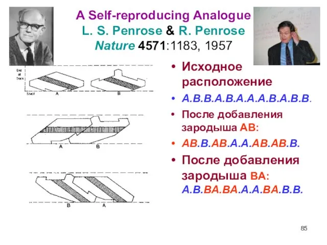 A Self-reproducing Analogue L. S. Penrose & R. Penrose Nature 4571:1183, 1957