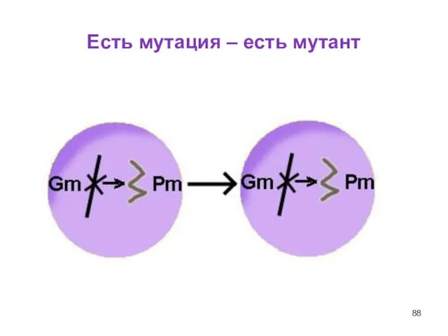 Есть мутация – есть мутант