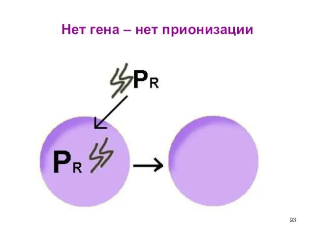 Нет гена – нет прионизации