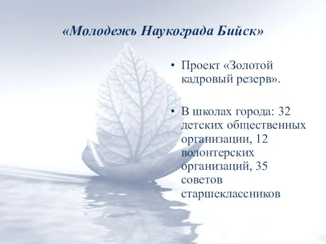 «Молодежь Наукограда Бийск» Проект «Золотой кадровый резерв». В школах города: 32 детских