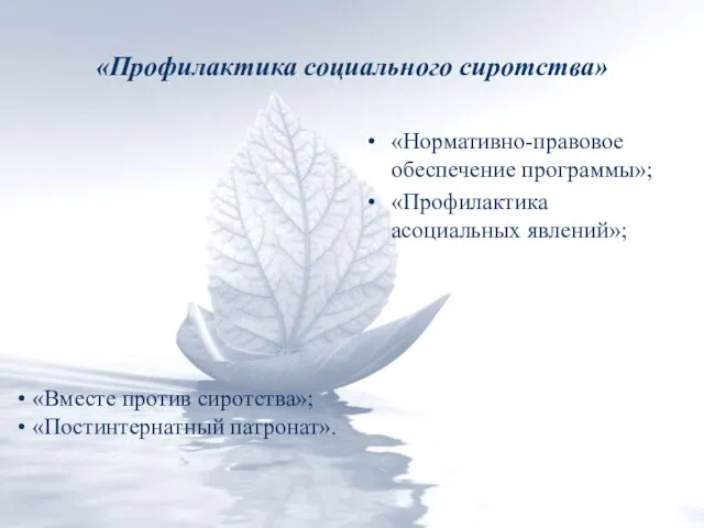 «Профилактика социального сиротства» «Нормативно-правовое обеспечение программы»; «Профилактика асоциальных явлений»; «Вместе против сиротства»; «Постинтернатный патронат».