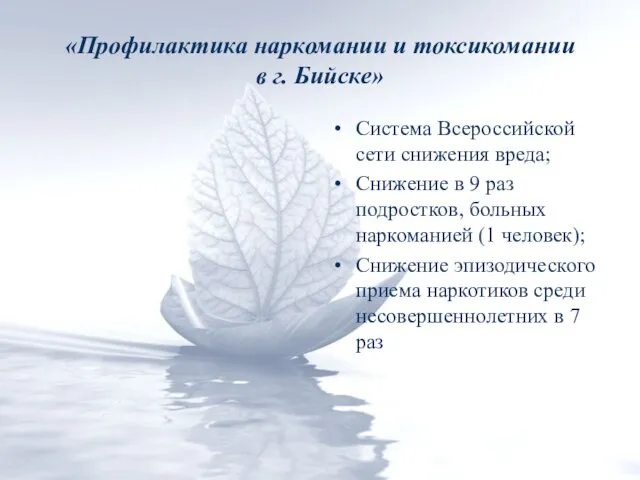 «Профилактика наркомании и токсикомании в г. Бийске» Система Всероссийской сети снижения вреда;