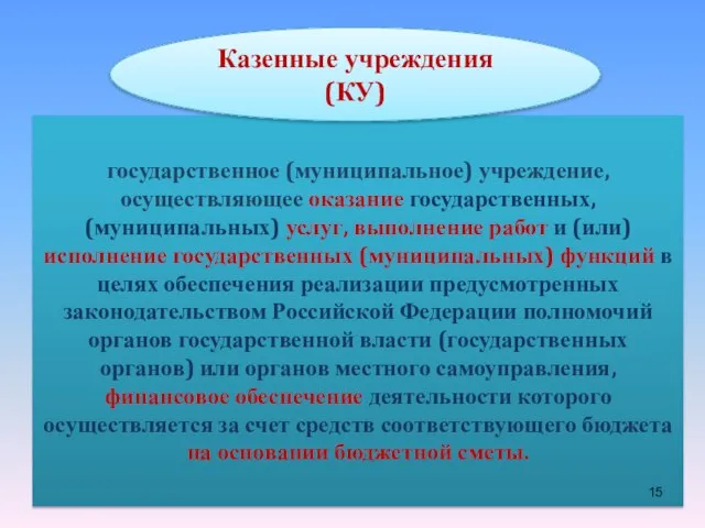 государственное (муниципальное) учреждение, осуществляющее оказание государственных, (муниципальных) услуг, выполнение работ и (или)