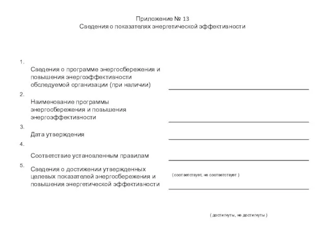 Приложение № 13 Сведения о показателях энергетической эффективности