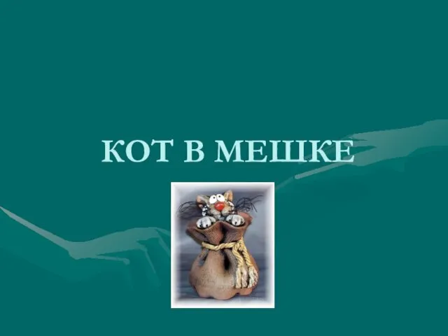 КОТ В МЕШКЕ