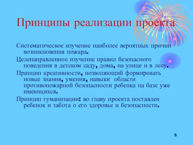 Принципы реализации проекта Систематическое изучение наиболее вероятных причин возникновения пожара. Целенаправленное изучение