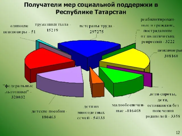 Получатели мер социальной поддержки в Республике Татарстан 12