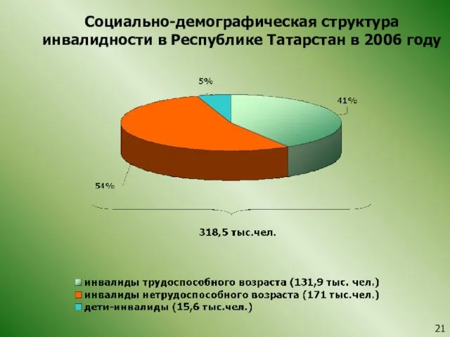 Социально-демографическая структура инвалидности в Республике Татарстан в 2006 году 21