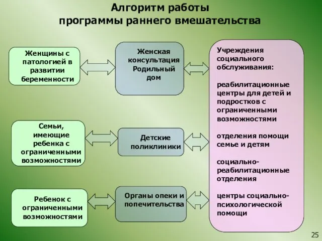 Алгоритм работы программы раннего вмешательства Женщины с патологией в развитии беременности Семьи,