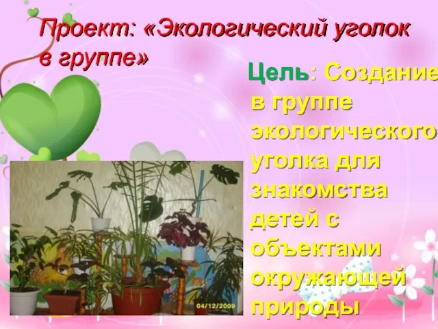 Проект: «Экологический уголок в группе» Цель: Создание в группе экологического уголка для