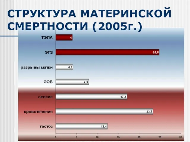 СТРУКТУРА МАТЕРИНСКОЙ СМЕРТНОСТИ (2005г.)