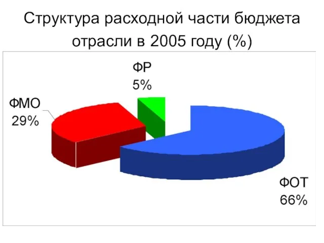 Структура расходной части бюджета отрасли в 2005 году (%)