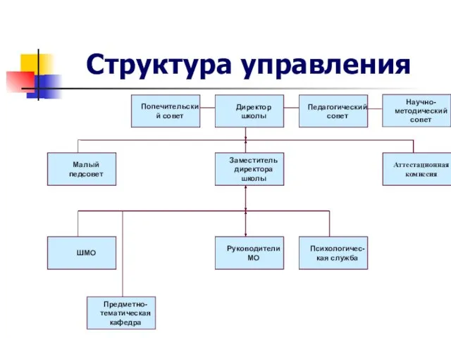 Структура управления Попечительский совет Директор школы Педагогический совет Малый педсовет Научно-методический совет