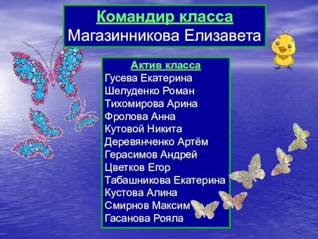 Командир класса Магазинникова Елизавета Актив класса Гусева Екатерина Шелуденко Роман Тихомирова Арина