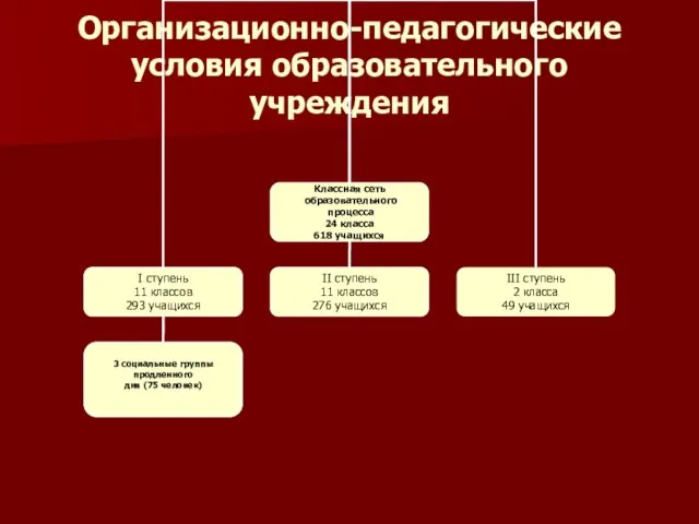 Организационно-педагогические условия образовательного учреждения