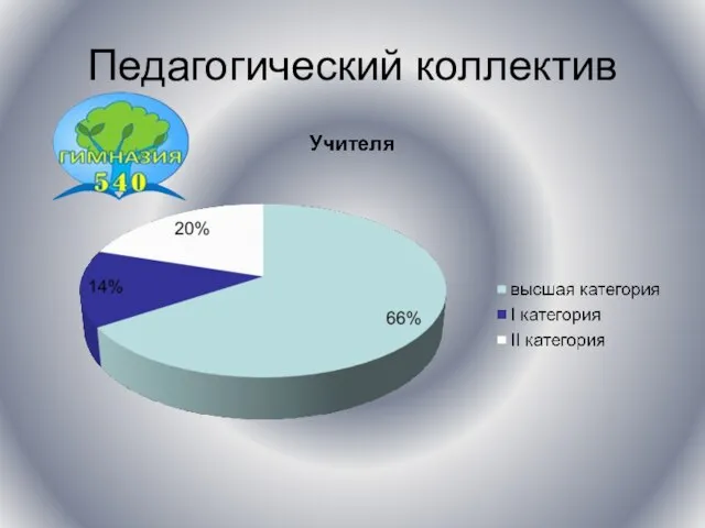 Педагогический коллектив