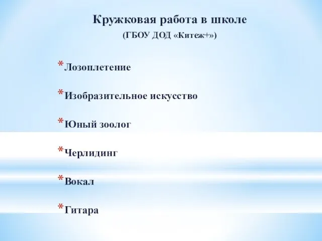 Кружковая работа в школе (ГБОУ ДОД «Китеж+») Лозоплетение Изобразительное искусство Юный зоолог Черлидинг Вокал Гитара