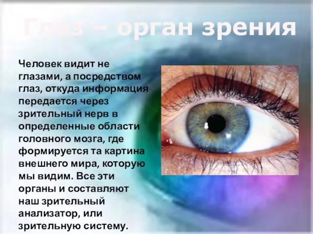 Человек видит не глазами, а посредством глаз, откуда информация передается через зрительный