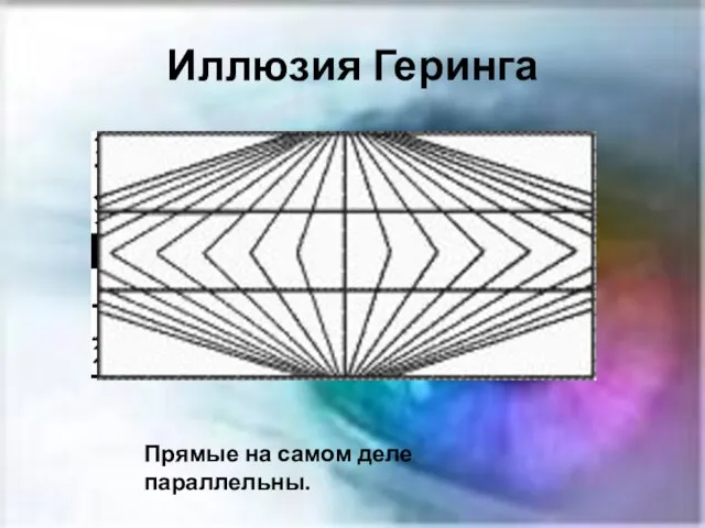 Иллюзия Геринга Прямые на самом деле параллельны.