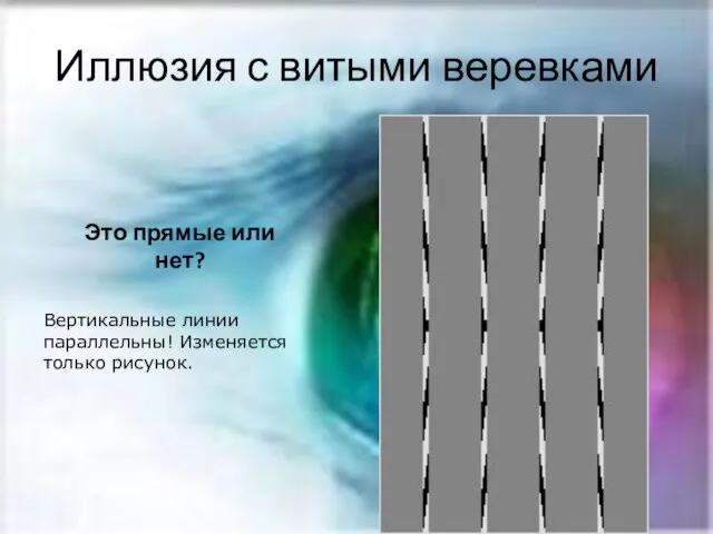 Иллюзия с витыми веревками Это прямые или нет? Вертикальные линии параллельны! Изменяется только рисунок.