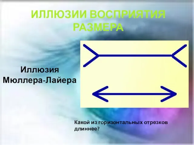 Иллюзия Мюллера-Лайера Какой из горизонтальных отрезков длиннее? ИЛЛЮЗИИ ВОСПРИЯТИЯ РАЗМЕРА