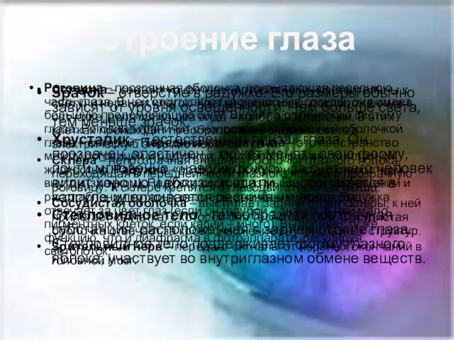 Строение глаза Роговица – прозрачная оболочка, покрывающая переднюю часть глаза. В ней