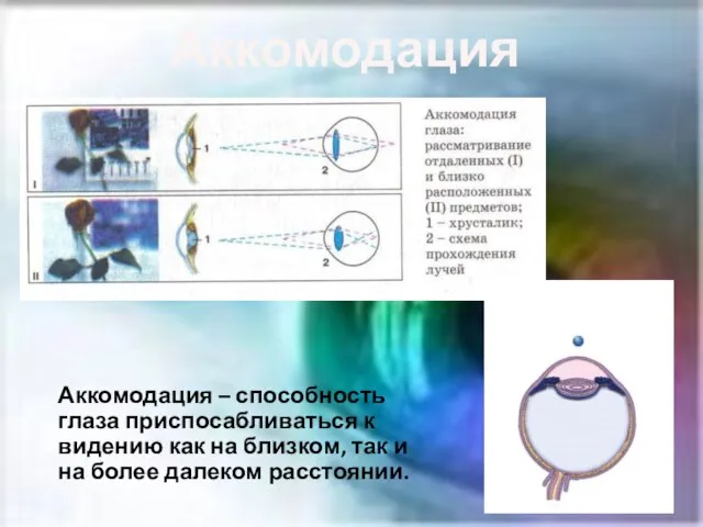 Аккомодация Аккомодация – способность глаза приспосабливаться к видению как на близком, так